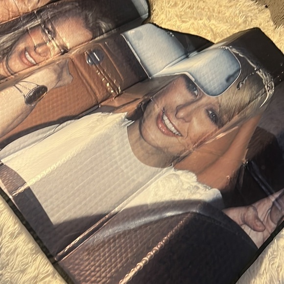 Funny Brittany, Paris and Lindsay Lohan window shade - Picture 3 of 6